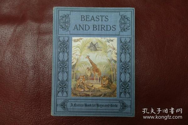 英文原版 1919年  BEASTS AND BIRDS（兽与鸟）天蓝色布面精装插图本  55幅精美插图，其中彩色插图31幅