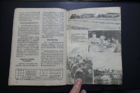 上世纪50年代彩色宣传画、小画片16张32幅自然科学、动植物题材—粘贴于1958年21期时事手册