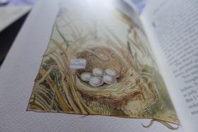 《柳林风声》Wind in the Willows  函套布面精装英文原版  Folio Society出版社精美插图本