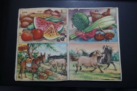 上世纪50年代彩色宣传画、小画片16张32幅自然科学、动植物题材—粘贴于1958年21期时事手册