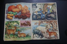 上世纪50年代彩色宣传画、小画片16张32幅自然科学、动植物题材—粘贴于1958年21期时事手册