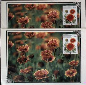 邮政用品明信片极限片，花卉·草本花·天人菊极限片，首日，一枚价，随机出