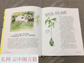 Gregory Danny, Copyright. How to discover an artist and learn to see (albom3518)格雷戈里丹尼，版权。如何发现自己的艺术家并学习如何看到（AlbOM3518） 俄语书