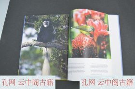 Book photo album series travel with pleasure volume 16 Kenya text by E Grishina K71书籍相册系列愉快旅行第16卷肯尼亚文字Е Гришина К71 俄语书