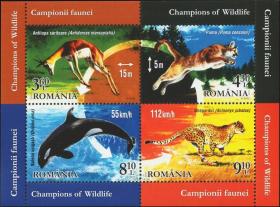 罗马尼亚 2015年 动物 美洲狮 虎鲸 猎豹 小全张