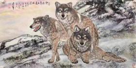 天来堂◆天下第一狼左进伟◆四尺三匹狼欣赏
