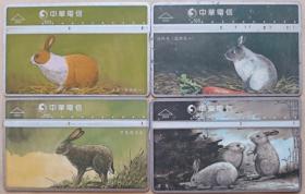 台湾电话卡.旧光学卡.中华电信-宠物兔（一）大奇、宠物兔（二）波利奇、黑尾杰克兔、雪兔（4枚）