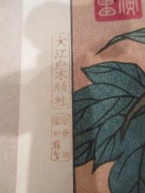 木刻浮世绘版画【 歌川广重，葛饰北斋，喜多川歌磨 等】。《稀版浮世绘——花鸟风月选集》。大江户木板社。稀版浮世絵　花鳥風月選集，【收藏级浮世绘版画整套，艳本浮世绘，品佳，木版水印 木板水印】 50cm x 34.5cm——库房;113538