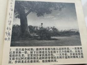 沙家浜