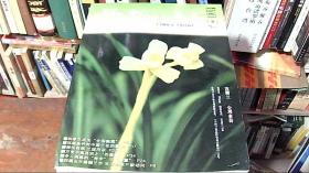 兰花宝典 2005 6