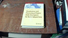 英文原版 Visualization and Processing of Higher Order Descriptors for Multi-Valued Data