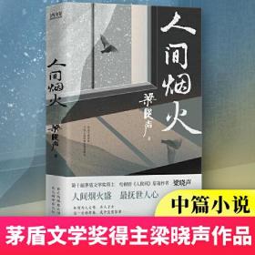 人间烟火（第十届茅盾文学奖得主、电视剧《人世间》原著作者梁晓声中篇小说力作。看罢《人世间》的冷暖，再品《人间烟火》的炎凉！）