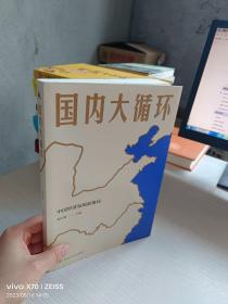 国内大循环(何毅亭、黄奇帆、孔丹、迟福林、姚洋、黄群慧等撰文)