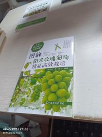 图解阳光玫瑰葡萄精品高效栽培(专业园艺师的不败指南)