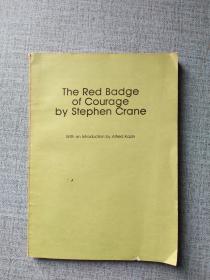 The Red Badge of courage by stephen crane