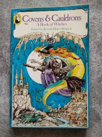 Covens Cauldrons A Book of Witches