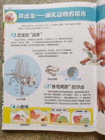 恐龙，原来是这样！