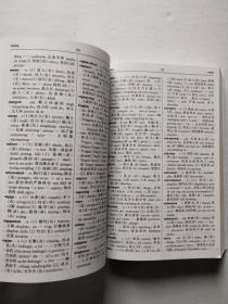 时代 英汉词典精编