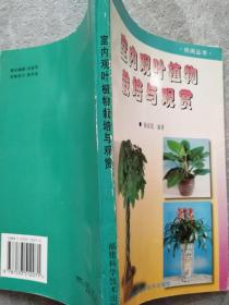 室内观叶植物栽培与观赏