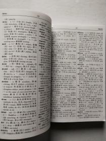 时代 英汉词典精编