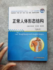 正常人体形态结构