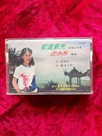 磁带：沈小岑独唱 歌坛新秀·抒情女中音