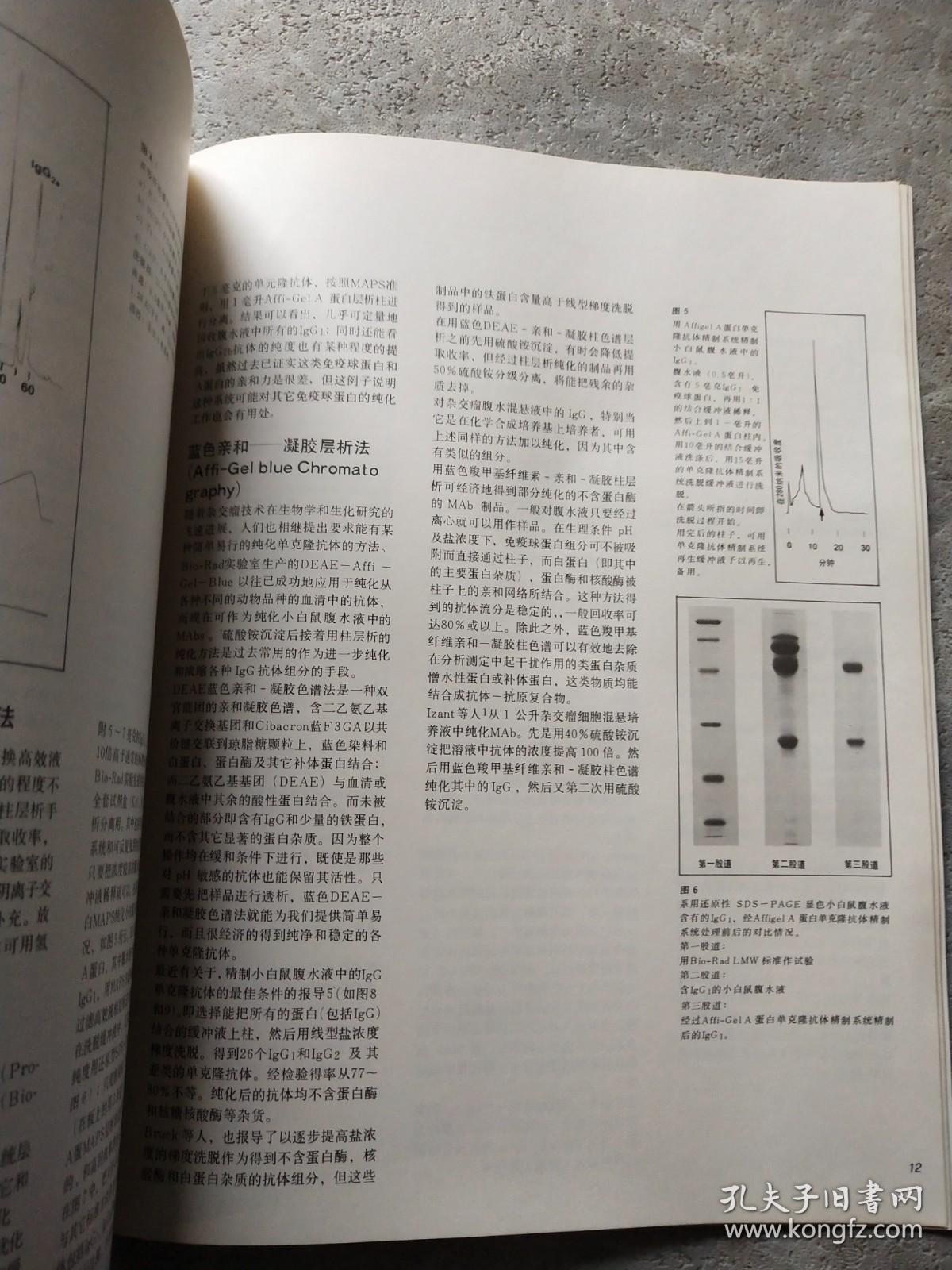 用于单克隆抗体实验室的产品和技术 免疫学家的工具