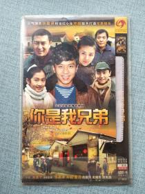 你是我兄弟  DVD