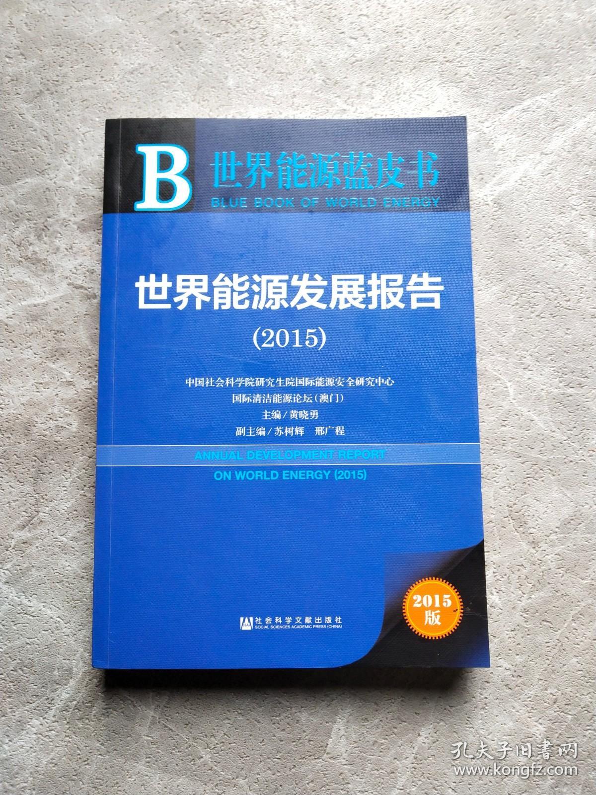 世界能源蓝皮书：世界能源发展报告（2015）
