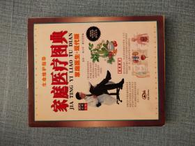 家庭医疗图典