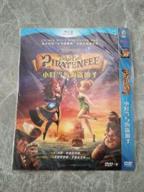 小叮当与海盗仙子  DVD