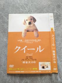 導盲犬小Q  DVD