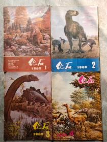 化石1982年1－4期