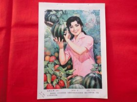 四季瓜香===八十年代年画缩样散页。16开。张万臣作