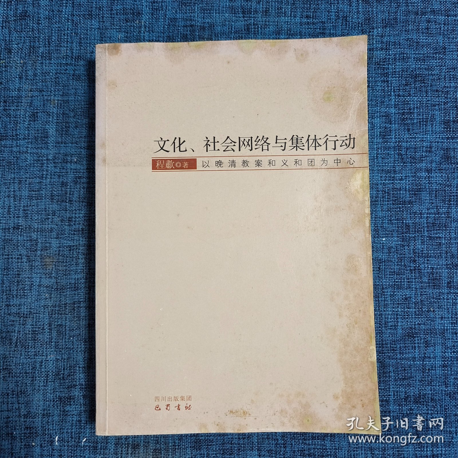 文化、社会网络与集体行动：以晚清教案和义和团为中心