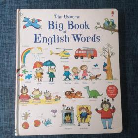 The Usborne Big Book English Words