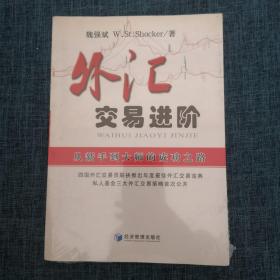 外汇交易进阶：从新手到大师的成功之路