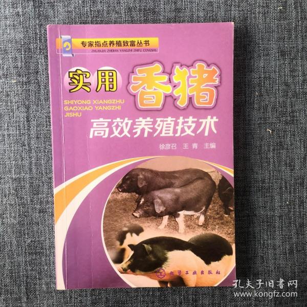 实用香猪高效养殖技术