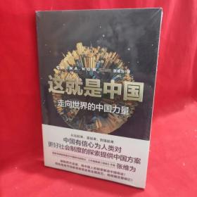 这就是中国:走向世界的中国力量【全新】