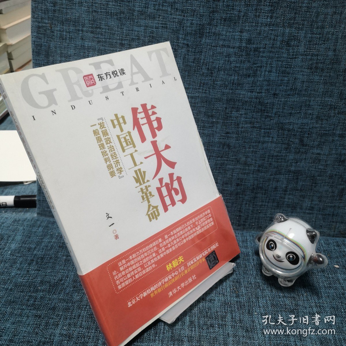 伟大的中国工业革命：“发展政治经济学”一般原理批判纲要