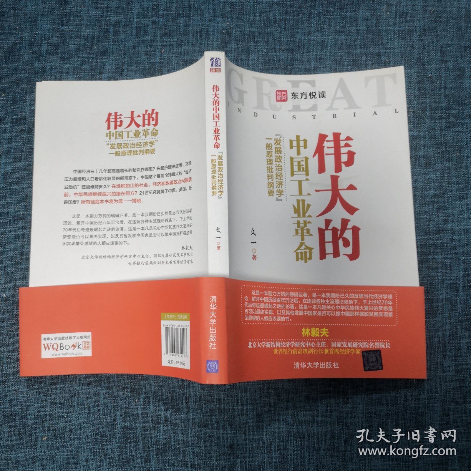 伟大的中国工业革命：“发展政治经济学”一般原理批判纲要