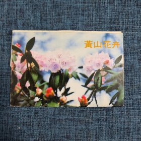 明信片：黄山花卉【10张】