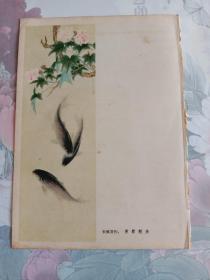 芙蓉鲤鱼 (朱佩君作)，欣欣向荣 (陈半丁作)，32开 五六十年代插图画页1张