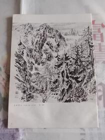 张仃作玉龙雪山，郑诵先书刘禹锡诗《杨柳枝》、唐云书陈毅诗《赠同志》，8开美术书法散页