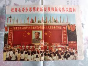 欢呼毛泽东思想的新发展和新的伟大胜利(将无产阶级文化大革命进行到底)，8开画报散页