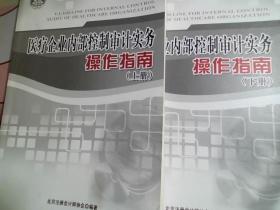 医疗企业内部控制审计实务操作指南（上下）