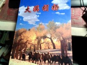 大漠胡杨