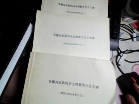 青藏高原新构造及晚新生代古大湖---第四纪地层资料汇总之（一）（二）（三）3册