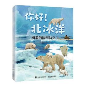 你好！北冰洋（全三册）：海豚柯迪遇险记 （系列书不单发） 平装绘本