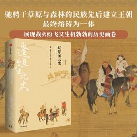 辽夏金元史： 冲突与交融的时代代（精装）